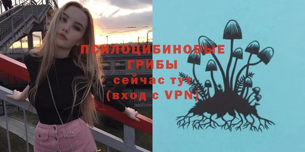 мет Белокуриха