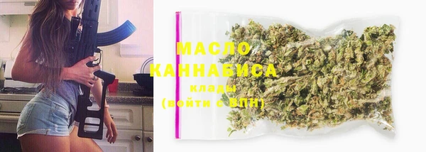 индика Приозерск