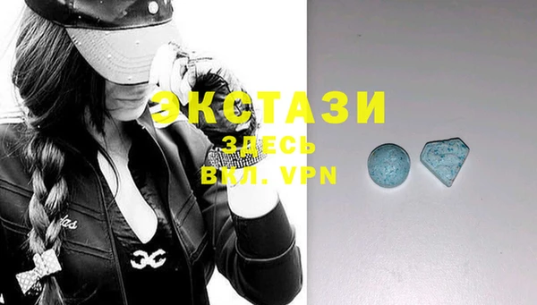 ECSTASY Богородицк